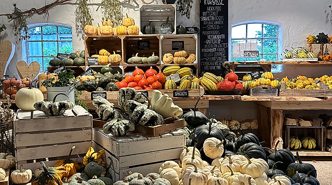 Große Herbstliebe auf dem Kürbishof Kruse